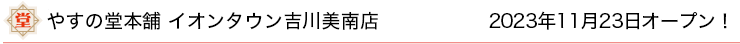 やすの堂本舗 イオンタウン吉川美南店